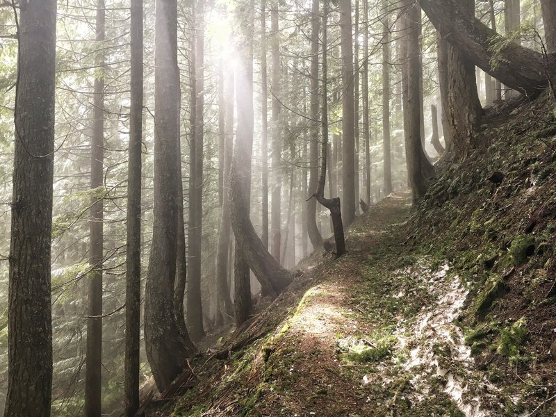 Rampart Ridge Trail