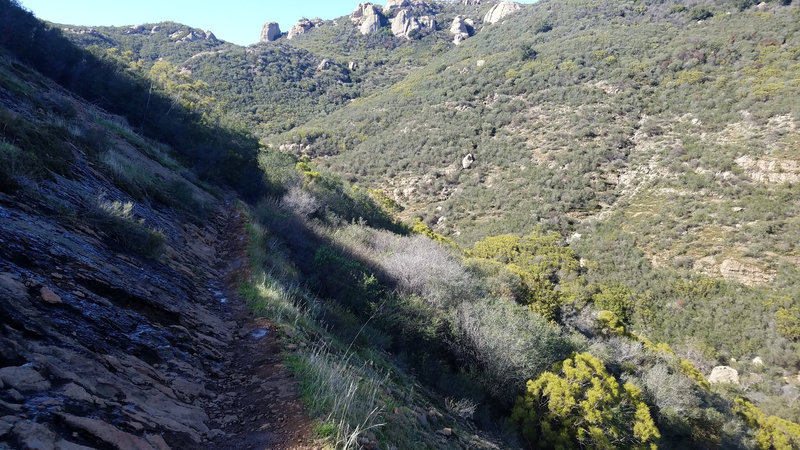 Path against side of mountain. Has small amounts of running water coming down mountain, making trail muddy