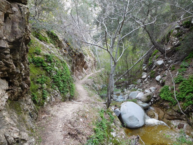 Bear Canyon Trail near Arroyo Seco