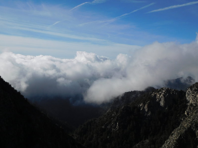 Eaton Canyon from Mt. Lowe Road