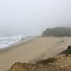 Pescadero State Beach Overlook Point Past North Pond Trail