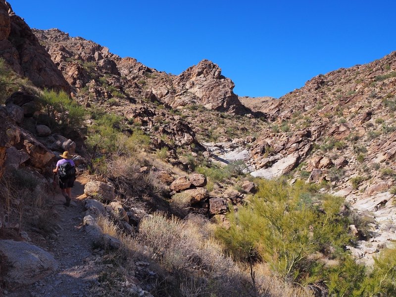 On the Ford Canyon Trail