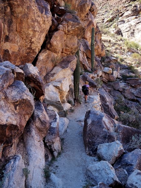 Along the Ford Canyon Trail