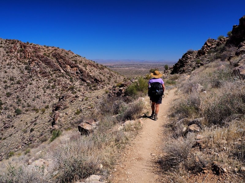 Phoenix from the Mesquite Canyon Trail