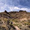 Along the Elephant Mountain Trail