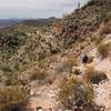 Descending the Elephant Mountain Trail