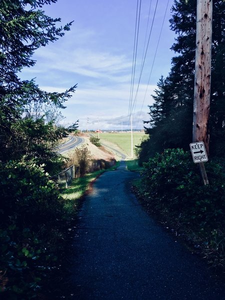 The trail as it dips unto Ebey's Prairie.