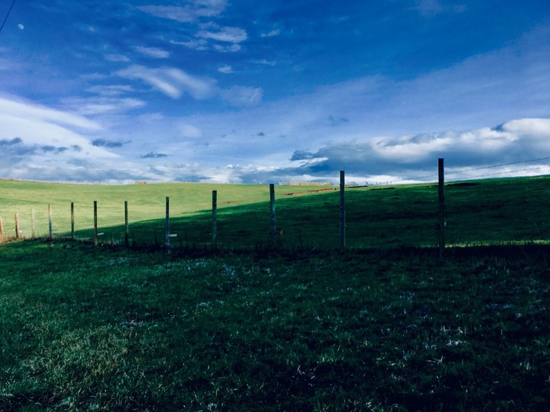 Ebey's Prairie