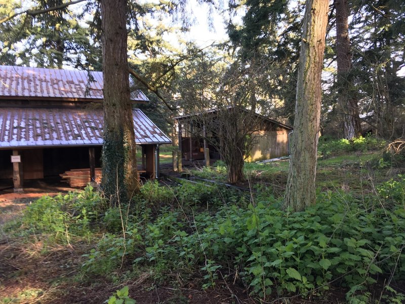 Pratt Sheep Barn and Machine Shed.