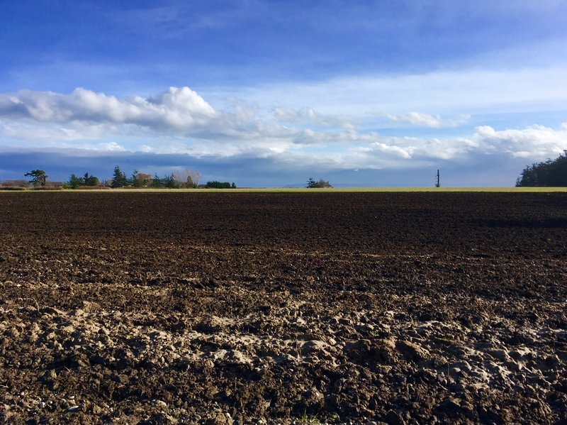 Looking west over the field.