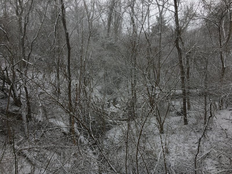 Ravine off the scenic bridge at the North Nature Trail