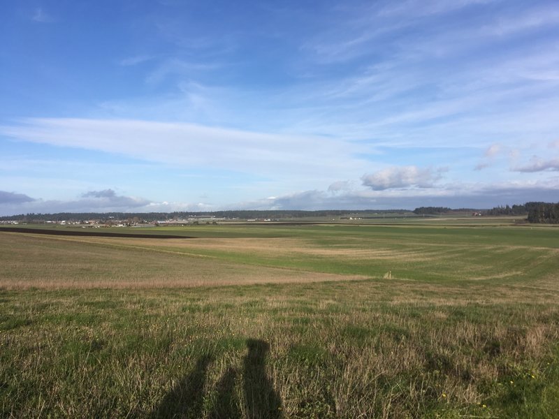 Looking East towards Coupeville.