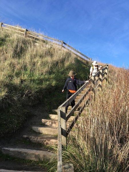 Hikers descending the stairs.