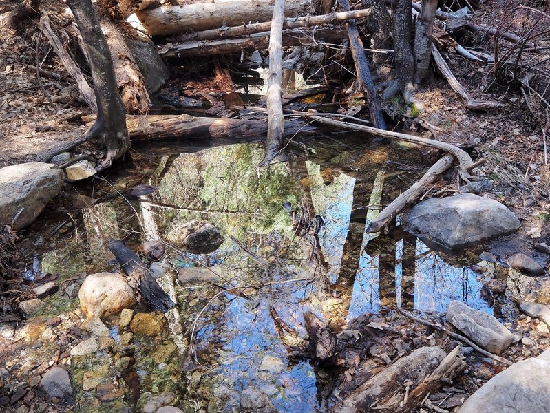 The creek in Marshall Gulch