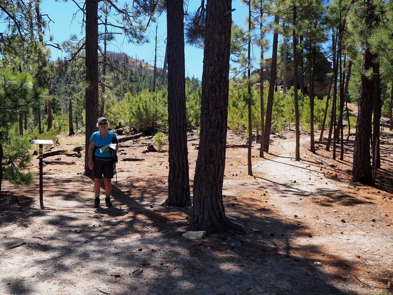 Trail junction at Marshall Saddle