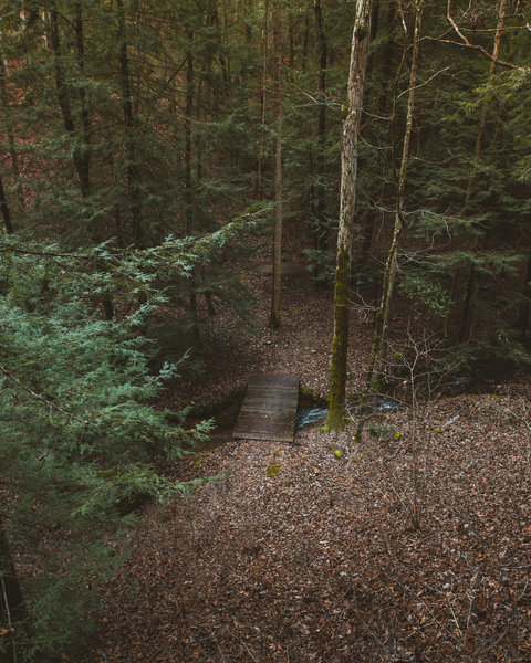 A small bridge that can be seen from the trail.