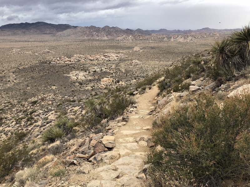 On the way up Ryan Mountain