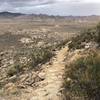 On the way up Ryan Mountain