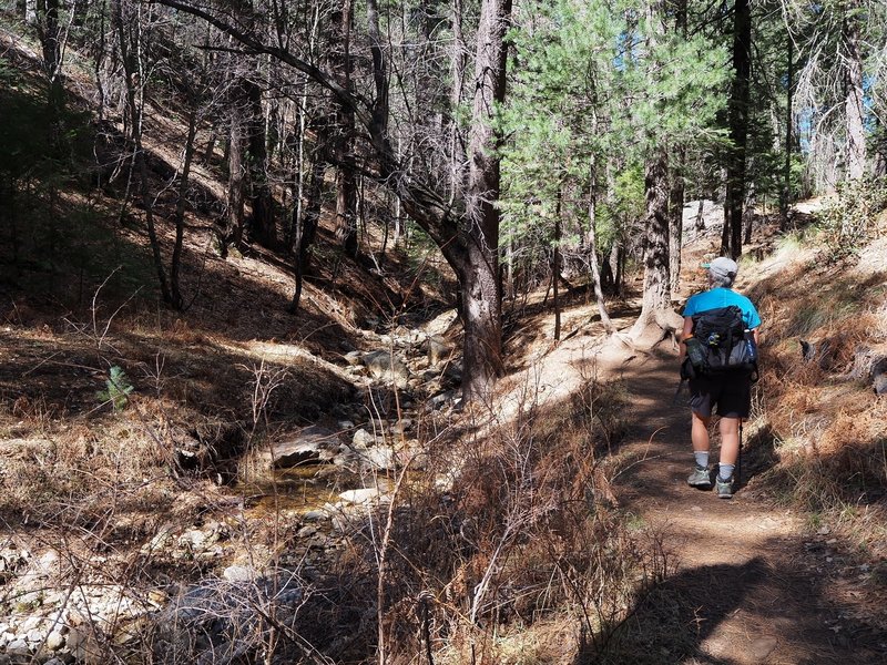 Ascending Marshall Gulch