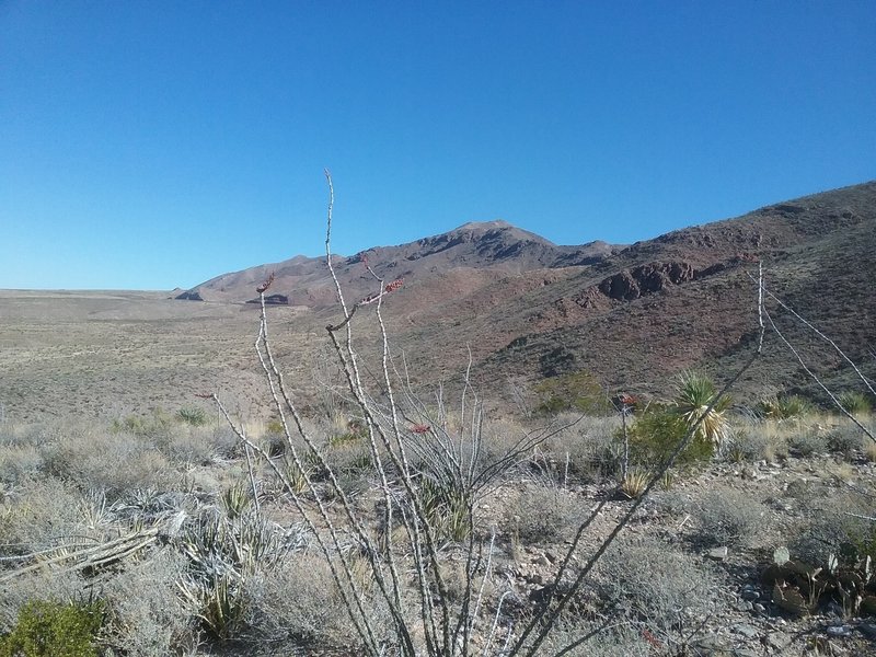 Looking NE towards North Franklin Mountain Peak