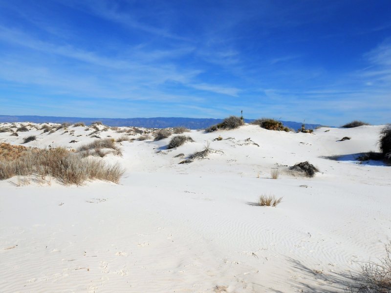 View of Dunes from Boardwalk