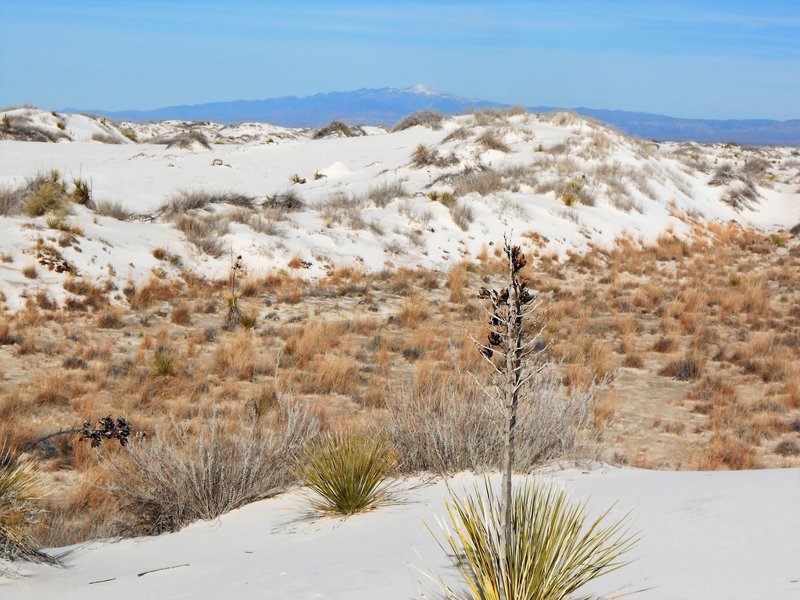 View of dunes and Sierra Blanca