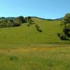 Vista del Oro Trail climbs through fields of spring wildflowers, to its high point.