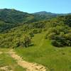 Loma Prieta, the highest of the Santa Cruz Mountains, is in the distance as Vista del Oro Trail drops down.