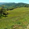 Lisa Killough Trail travels through fields of spring wildflowers with the Santa Cruz Mountains and Mt. Umunhum in the distance.