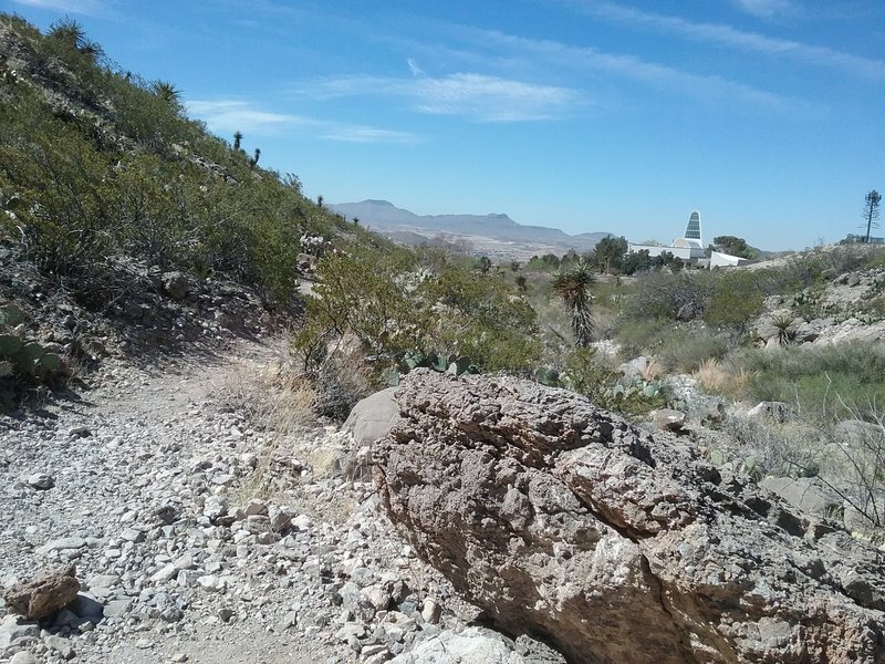 Looking west from the trail