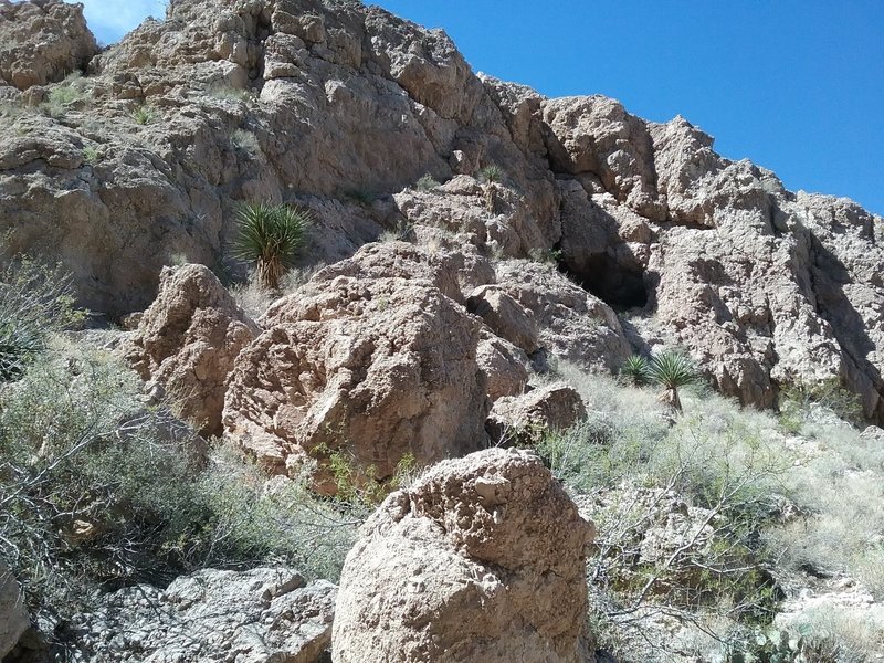 Steep canyon to the south of the trail.