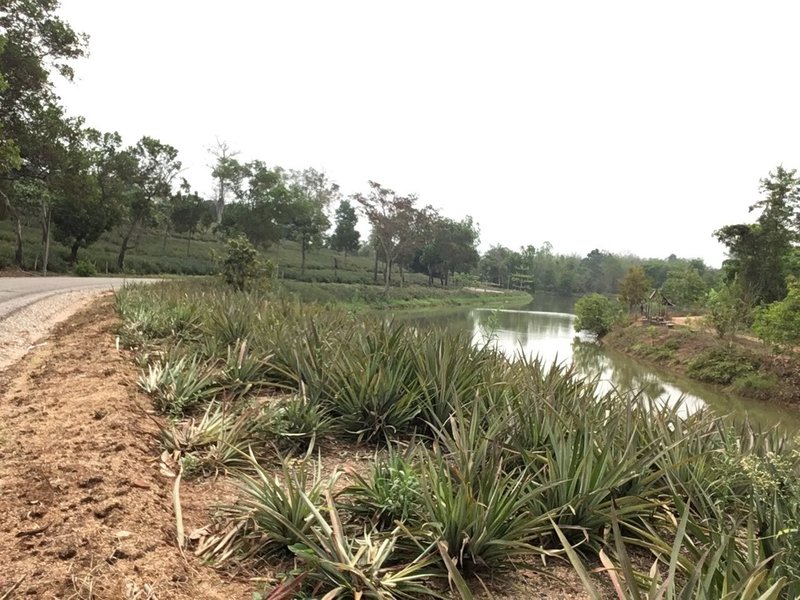 First lake by the "paved" road