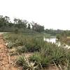 First lake by the "paved" road