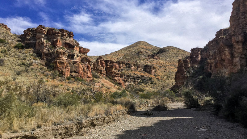 on Blue Creek trail