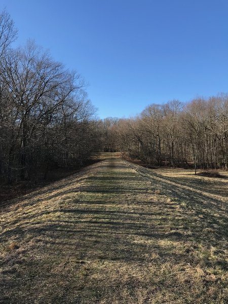 Trail follows the earthen dam around the lower pond