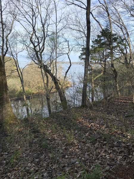 View of the Tennessee River from the trail