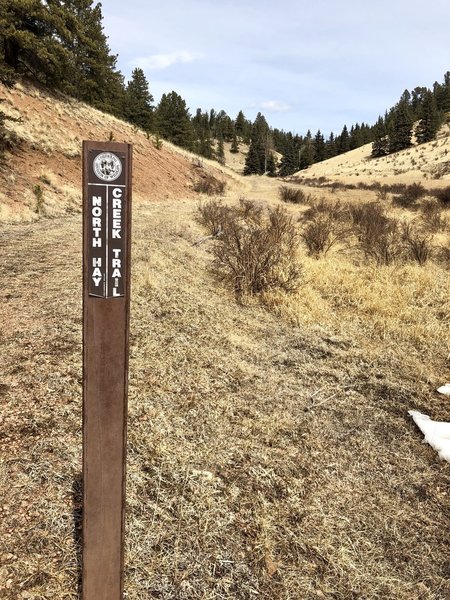 Your cue to take the left fork onto North Hay Creek Trail