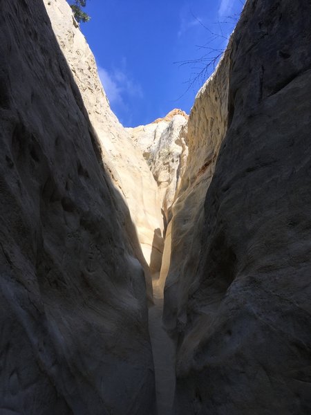 Hiking up the canyon