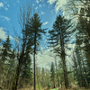 A full hour of blue sky between morning and afternoon rain made this quick hike a fantastic part of the day.