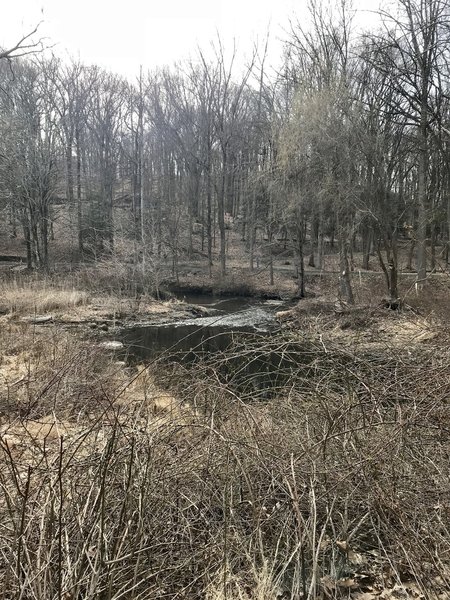 Crossing the Pocantico River in early spring