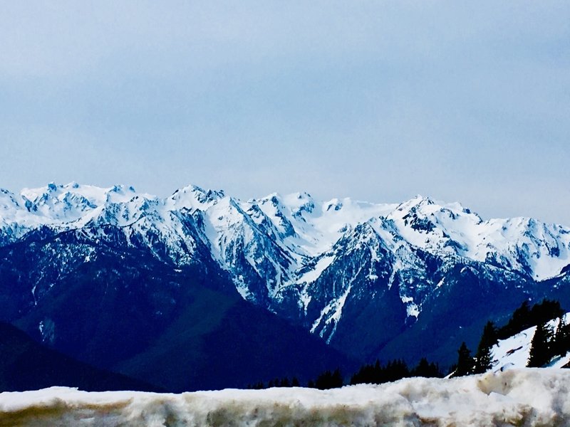 The Olympic Mountains.