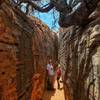 Hidden Petroglyphs and Slot Canyon