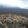 View on the top and Haystack cacti.