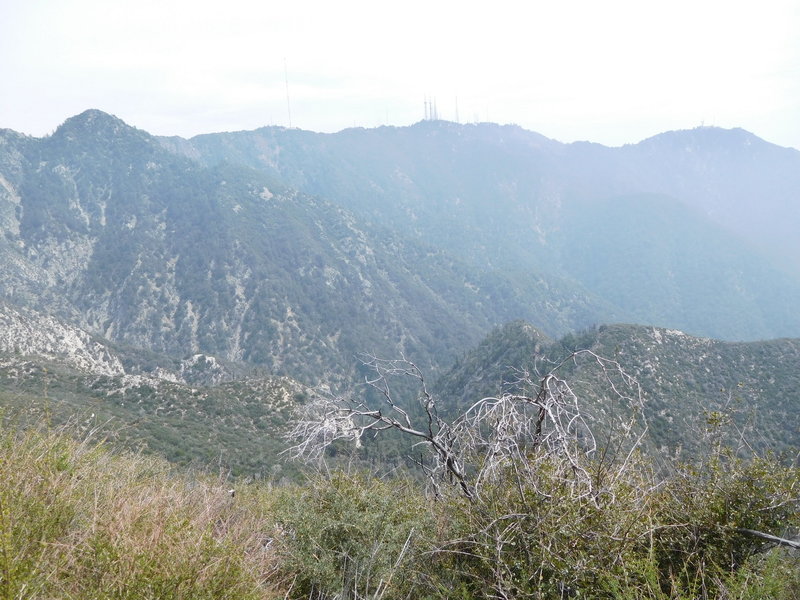 Mt. Wilson and upper Eaton Canyon from Mt. Lowe East Trail