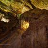 The Whale: Rock formation in Carlsbad Caverns on the way to the Big Room.