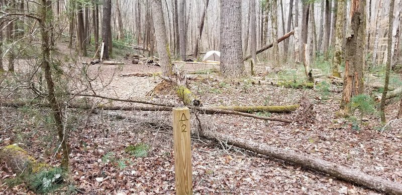 One fire ring, but good flowing creek on both sides of camp site.  Plenty of dead wood for fire.