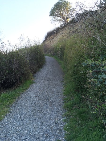 Looking up the trail.