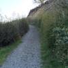 Looking up the trail.