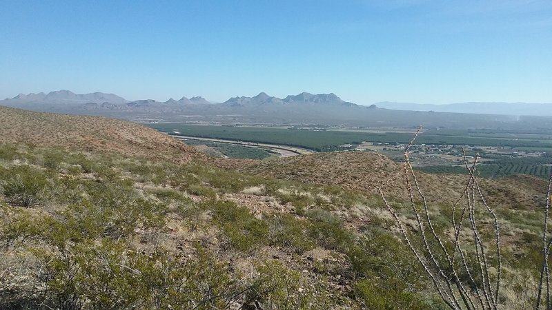 View of the Rio Grande valley and Dona Ana Mountains