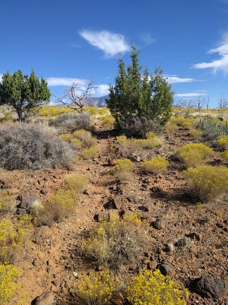 Example of the trail uncovered, watch the rolly-rocks.